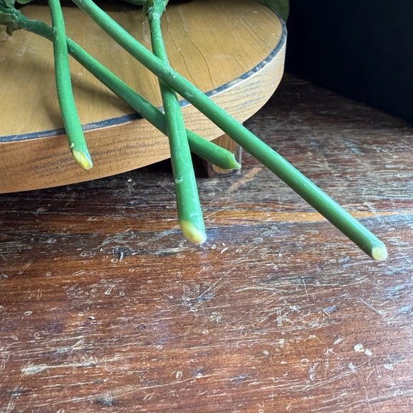 Realistic Faux Yellow Roses - Picture 7 of 8